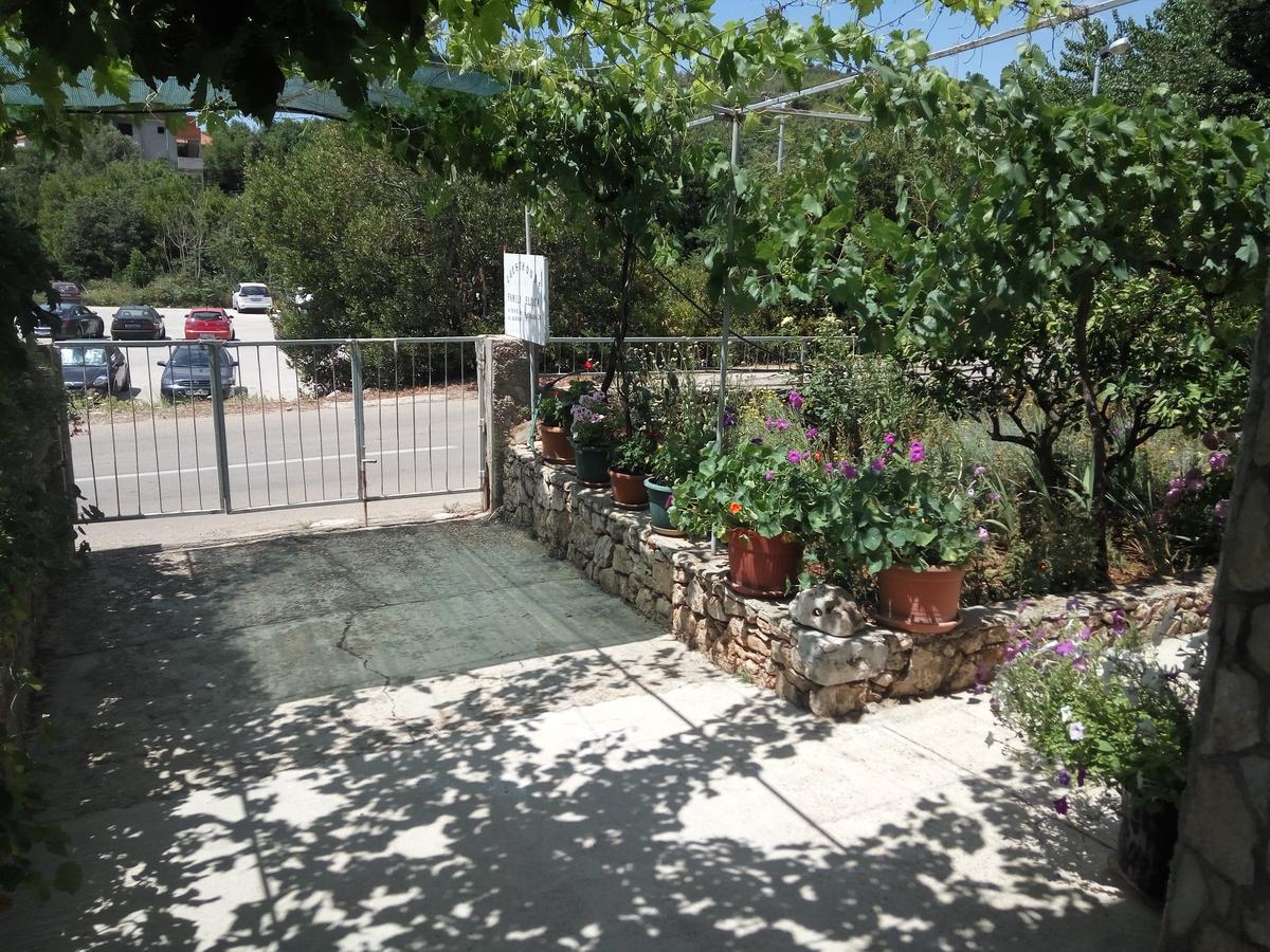 Guesthouse Eljuga Family Stari Grad  Eksteriør bilde